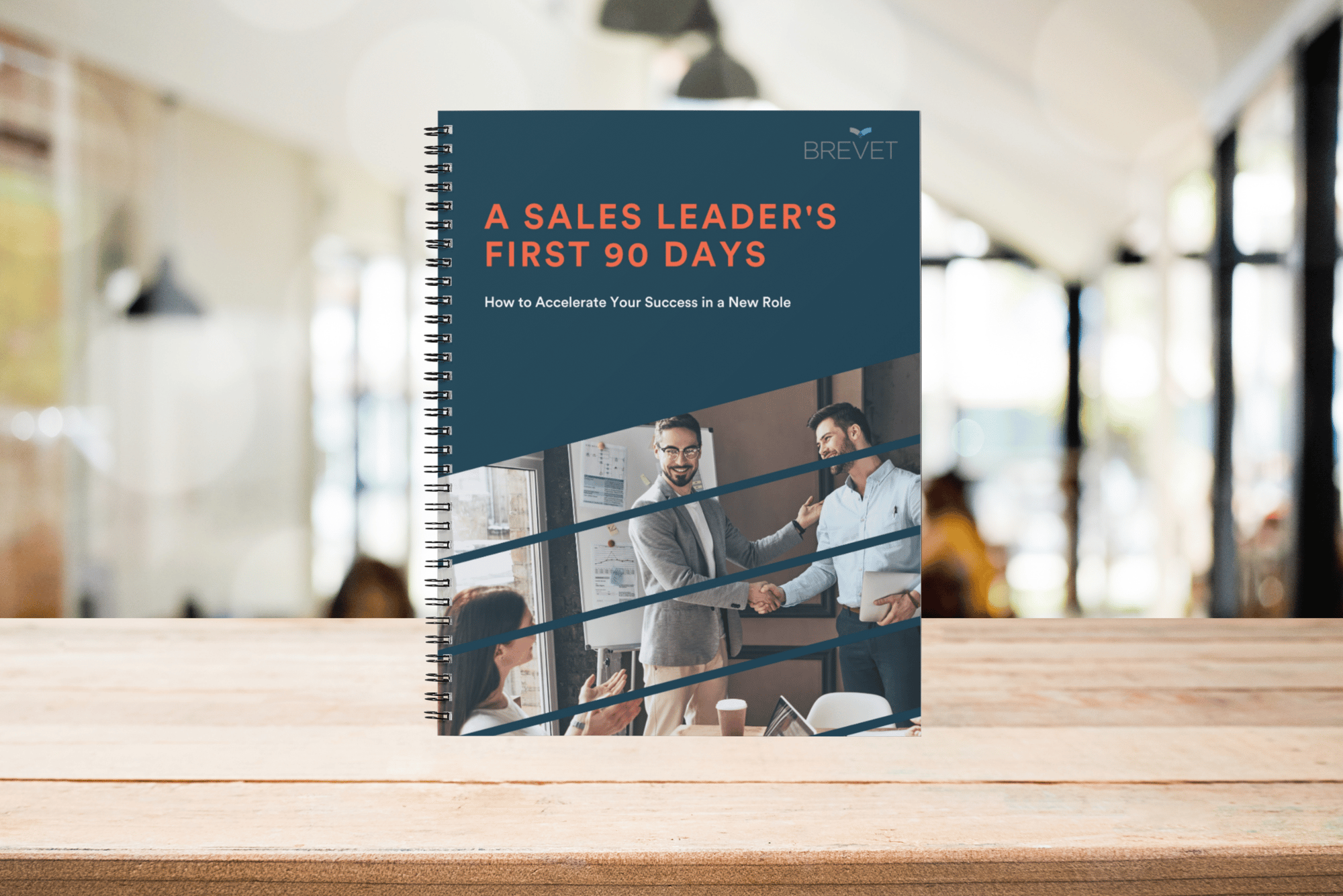 Sales Leader - 90 Days